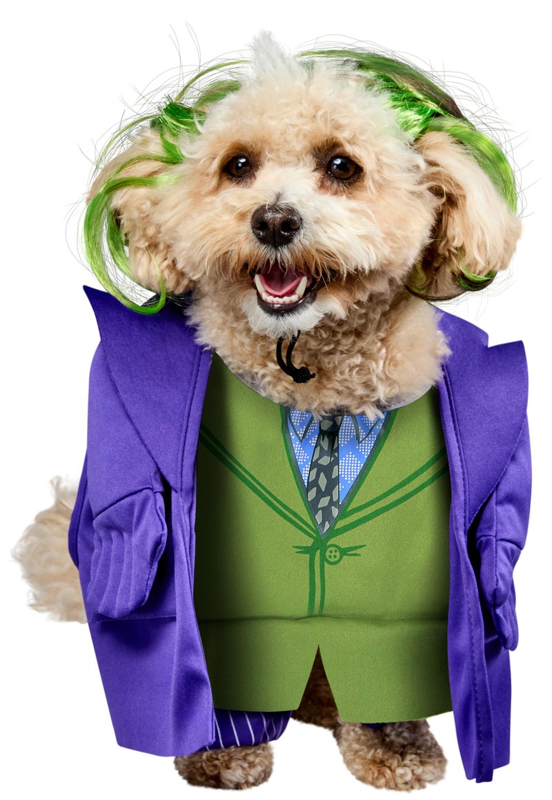 Rubies DC Batman The Dark Knight: The Joker Pet Costume for Dogs or Cats by Rubies, XL - Image 2